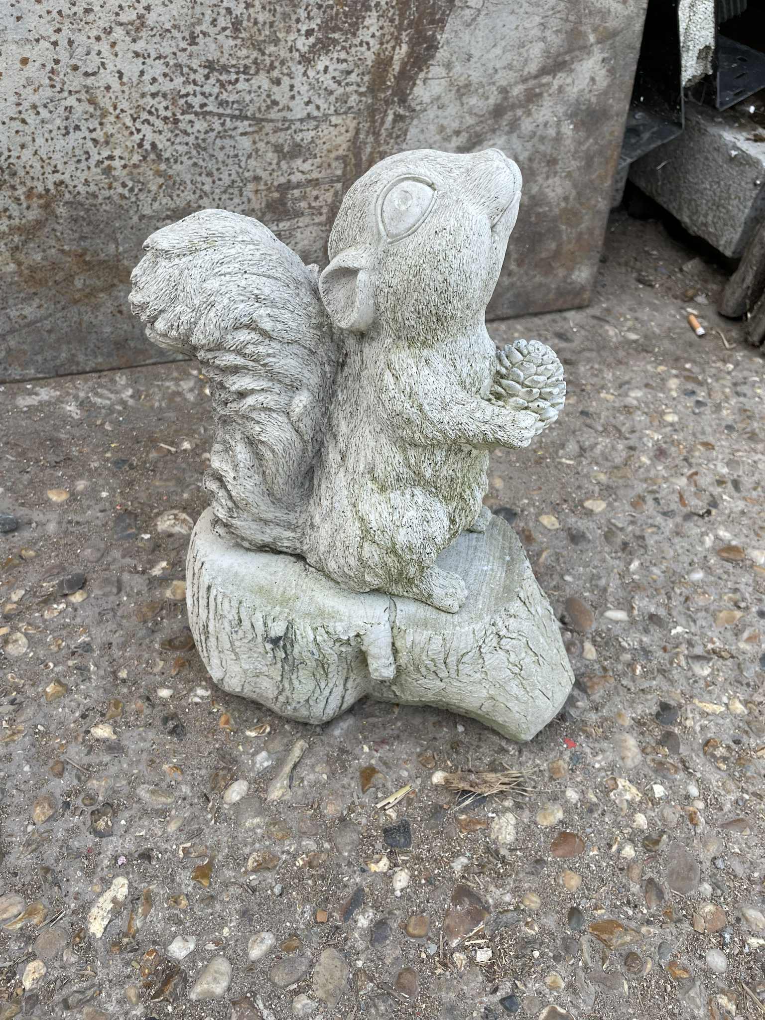 squirrel,.